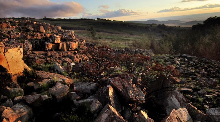 Kwaggaskop Game Farm