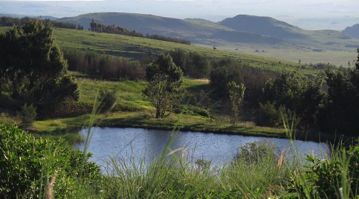 Kwaggaskop Game Farm