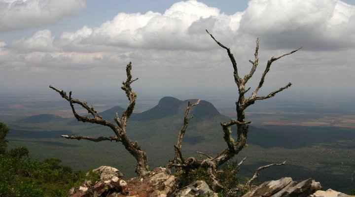 Sigurwana