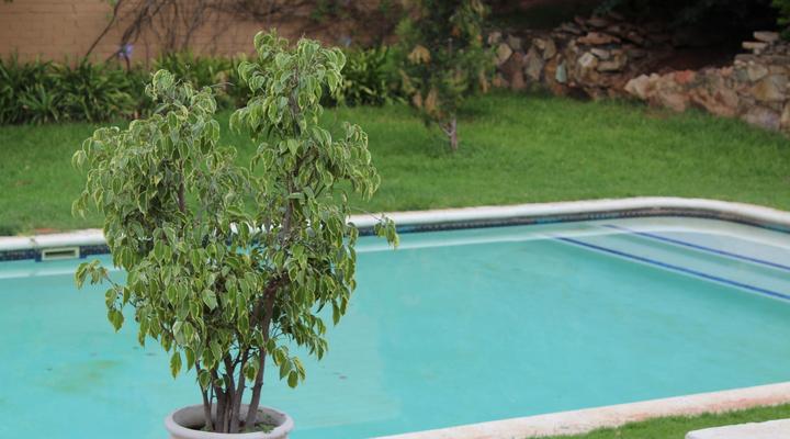 Klein Morgenster Bed and Breakfast