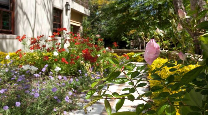 Aan de Vliet Guest House Stellenbosch