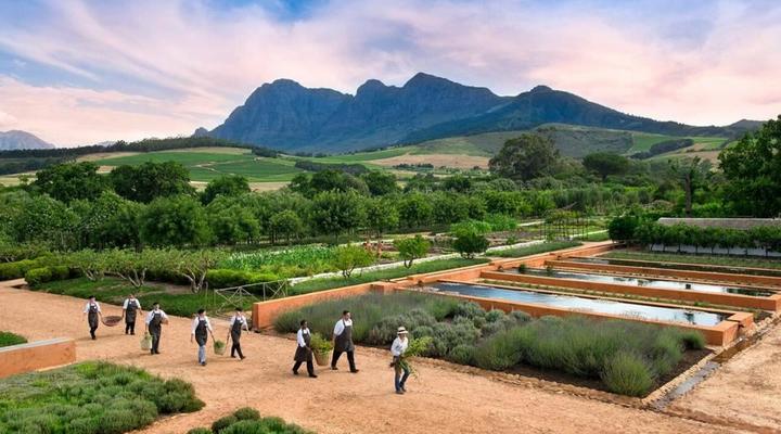 Ultimate Franschhoek Foodie and Wine Tour
