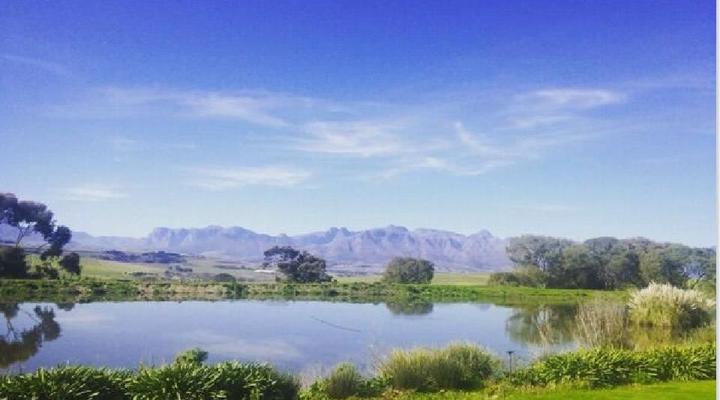 Exclusive Stellenbosch Wine Tour