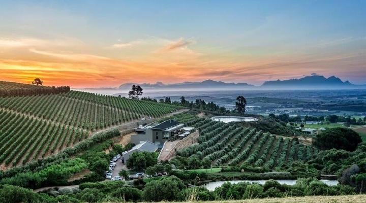 Exclusive Stellenbosch Wine Tour