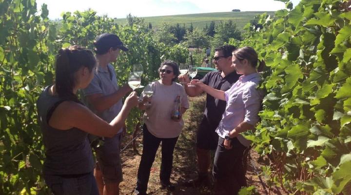 Exclusive Stellenbosch Wine Tour