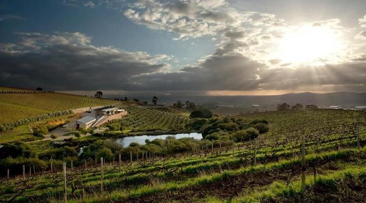 Exclusive Stellenbosch Wine Tour