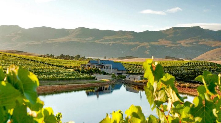 Hemel-en-Aarde Valley Fine Wine Tour