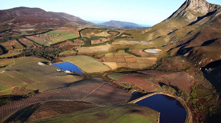 Hemel-en-Aarde Valley Fine Wine Tour