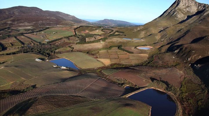 Hemel-en-Aarde Valley Fine Wine Tour