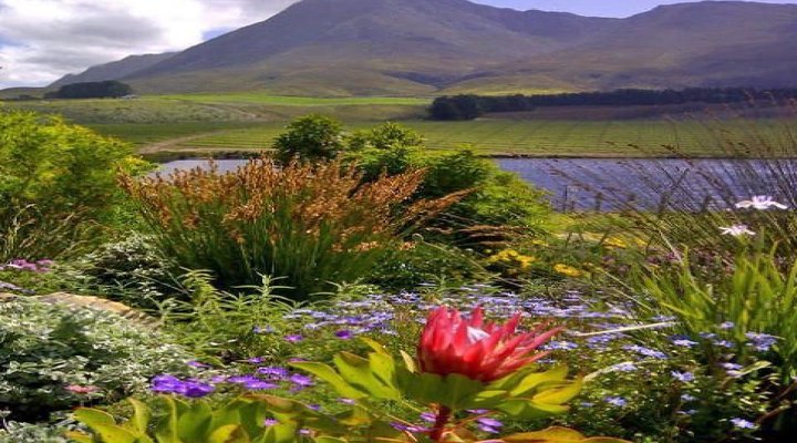 Hemel-en-Aarde Valley Fine Wine Tour