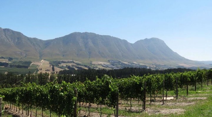 Hemel-en-Aarde Valley Fine Wine Tour