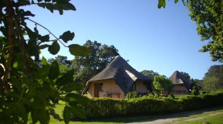 Green Fountain Caravan Park