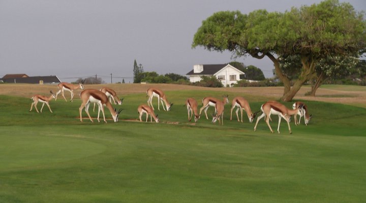 Fairways Self Catering