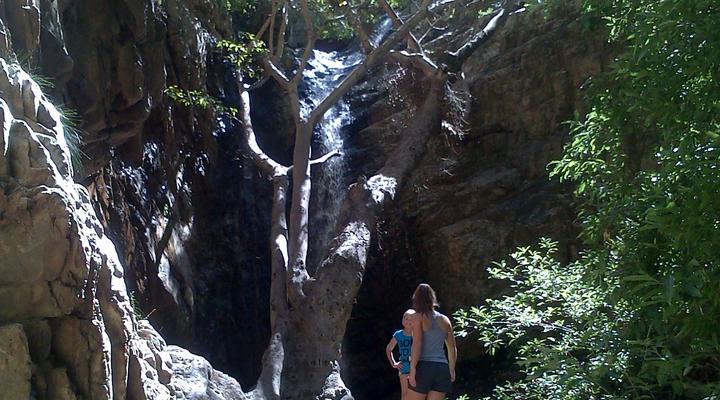 Damsedrif Guest Farm