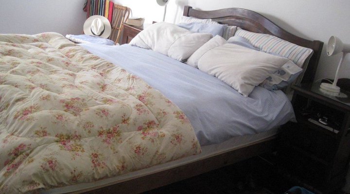 Brower Holiday House