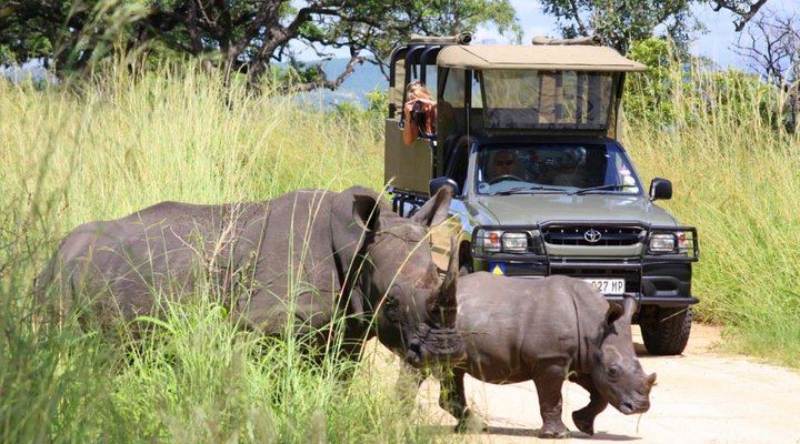 3 Night Bohm’s Zeederberg Mpumalanga Package