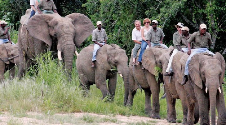 3 Night Bohm’s Zeederberg Mpumalanga Package