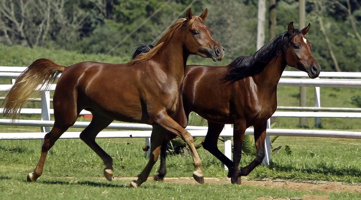 Silver Mist Adventure Lodge