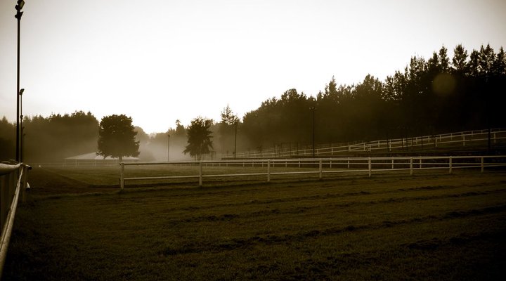 Silver Mist Adventure Lodge