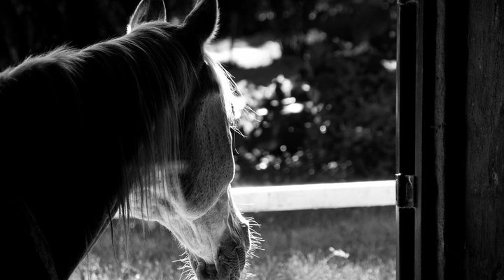 Silver Mist Adventure Lodge