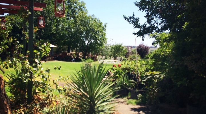 Little Ranch Restaurant & BBQ Bar