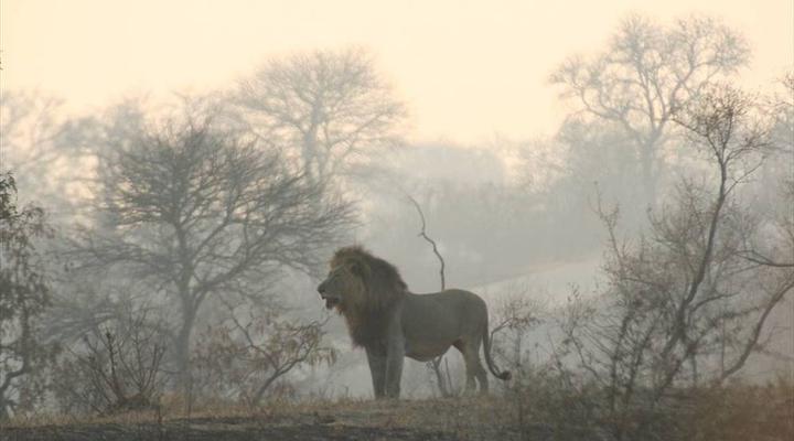 Kruger Park 2 Night Safari Get Away