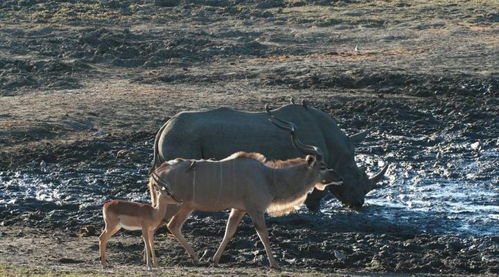 Kruger Park 2 Night Safari Get Away
