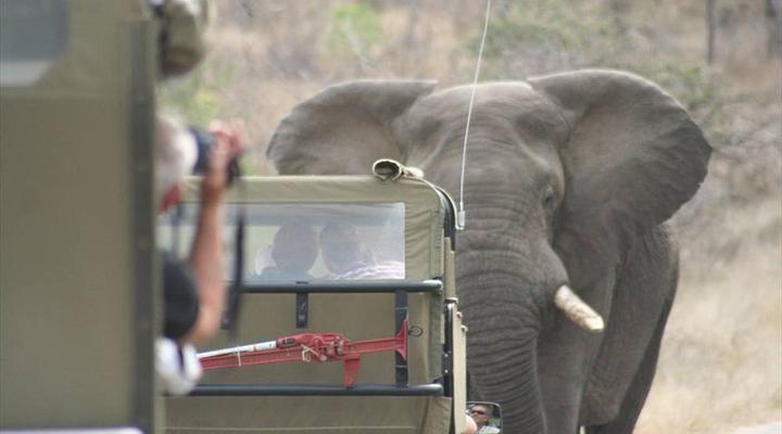 Kruger Park 2 Night Safari Get Away