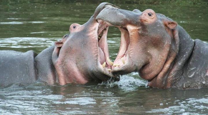 Kruger Park 2 Night Safari Get Away