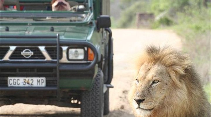 4 Night Kruger Park Safari and Activities Tour