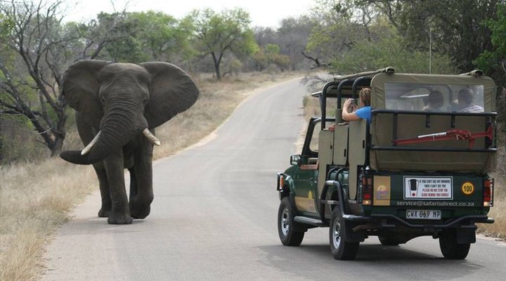 4 Night Kruger Park Safari and Activities Tour