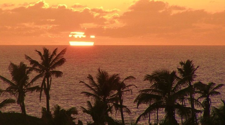 4 Night Mozambique Tropical Tour