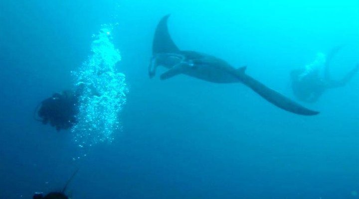 4 Night Mozambique Tropical Tour