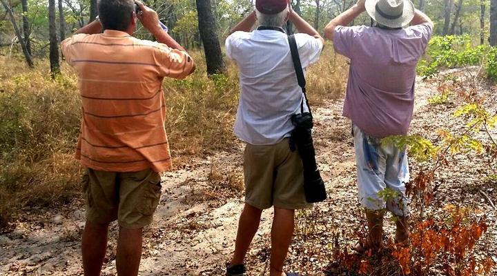 Gary Rowan's Beach and Birding Mozambique Photographic Safari