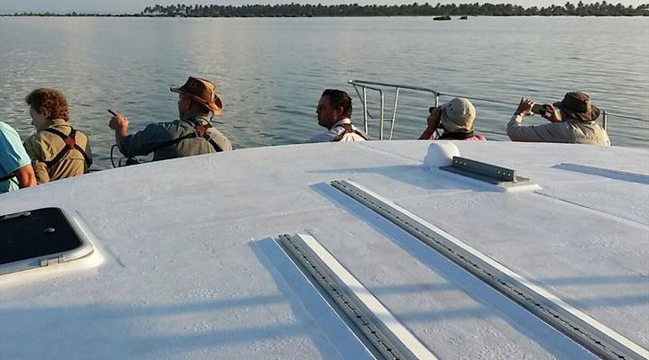 Gary Rowan's Beach and Birding Mozambique Photographic Safari