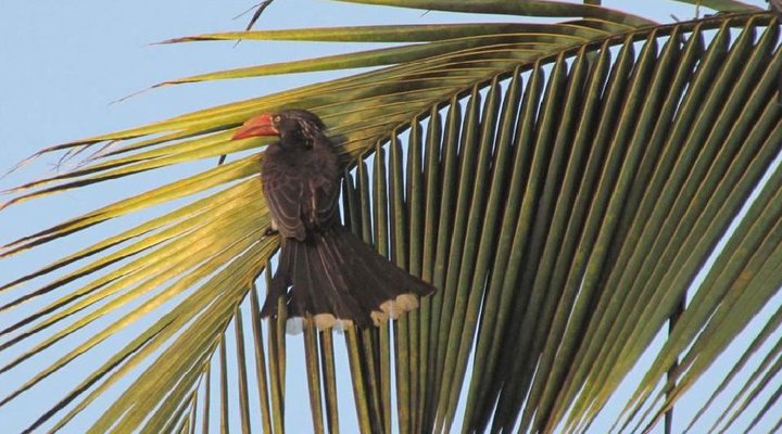 4 Night Bird and Beach Relaxation Tour