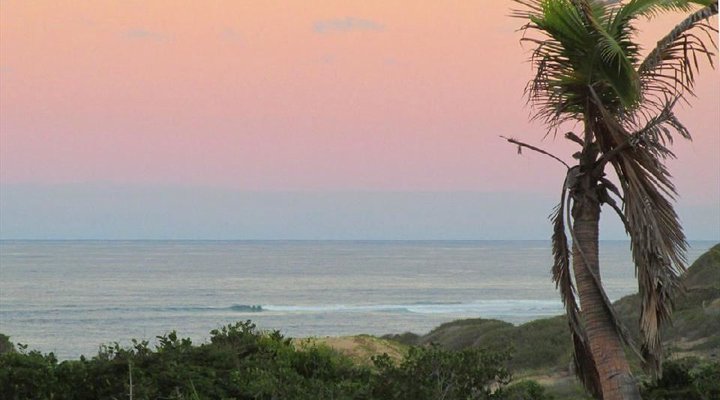 4 Night Bird and Beach Relaxation Tour