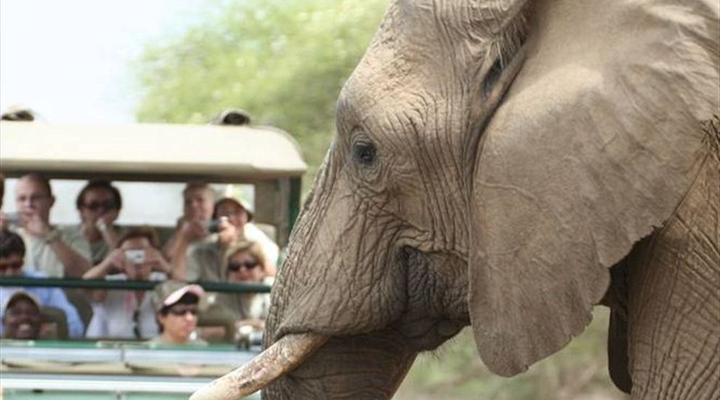 Mozambique and Kruger Park 6 Night Safari Tour