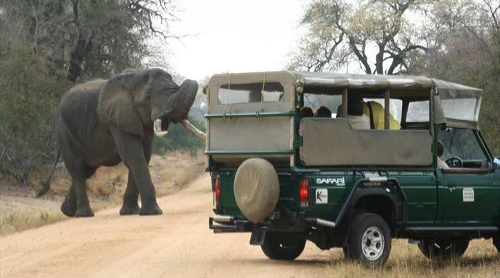 6 Night Kruger Park, Mozambique and Limpopo Park Adventure