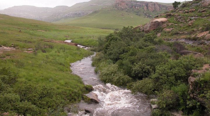 Qwantani Private Rentals