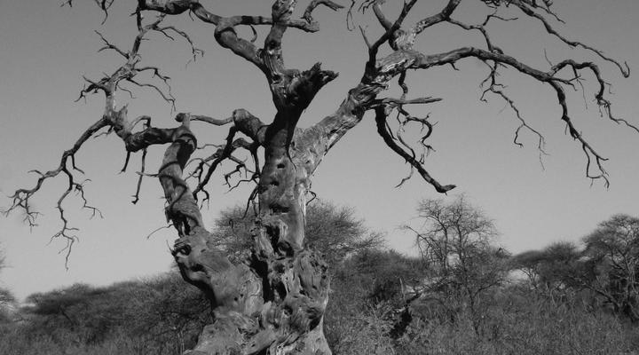 Tweerivier Game Lodge