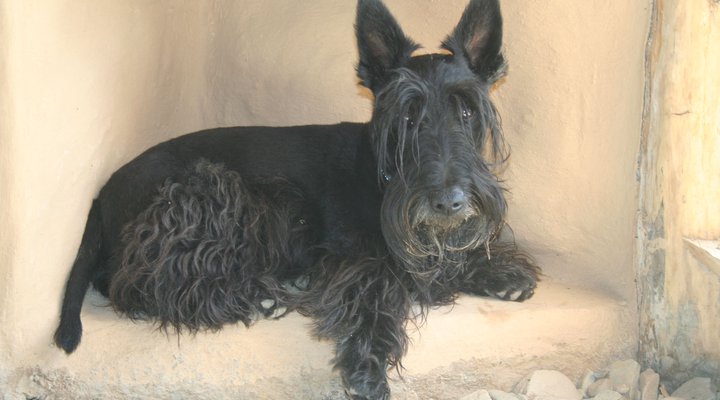 Numbi Valley De Rust Farmstay