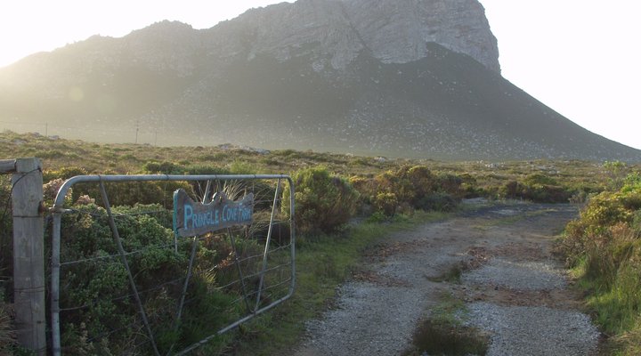 Waterblom - Seaview Retreat in UNESCO Biosphere