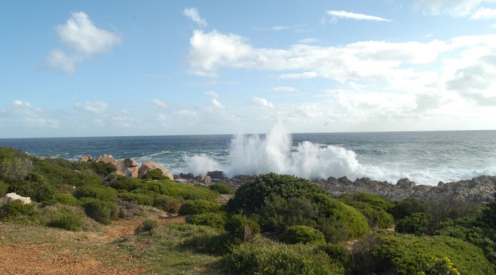 Waterblom - Seaview Retreat in UNESCO Biosphere