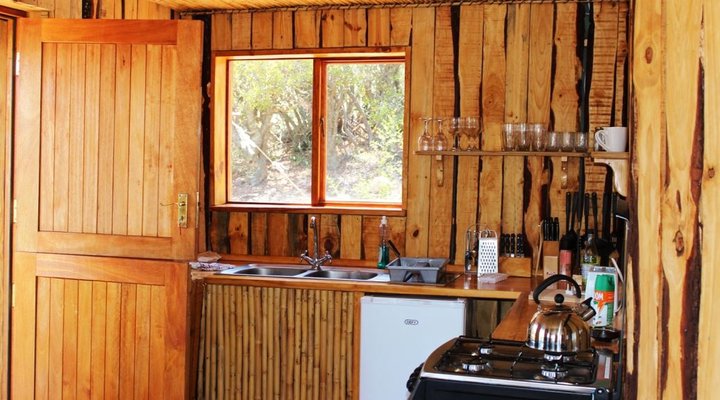 The Travelling Tortoise