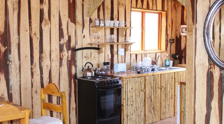 The Travelling Tortoise