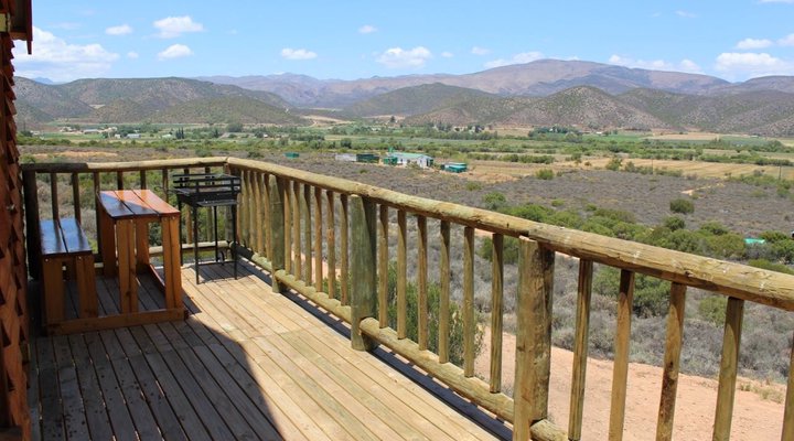 The Travelling Tortoise