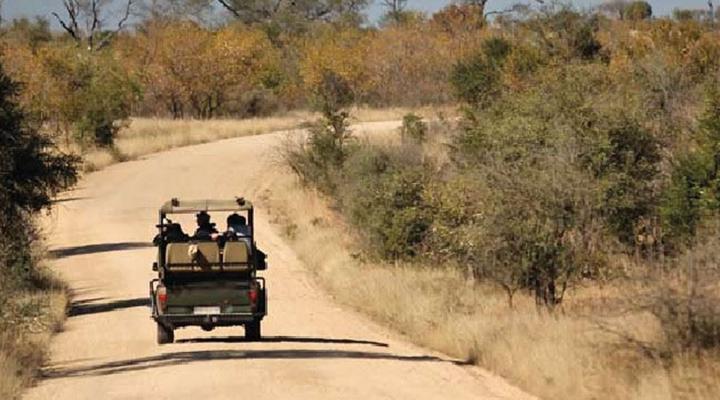 4 Day Kruger Experience Lodge-Treehouse