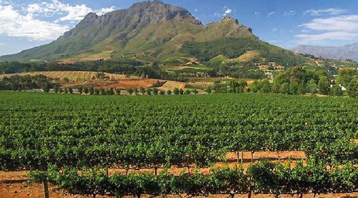 10 Night, 10 Day CPT Garden Route Combo