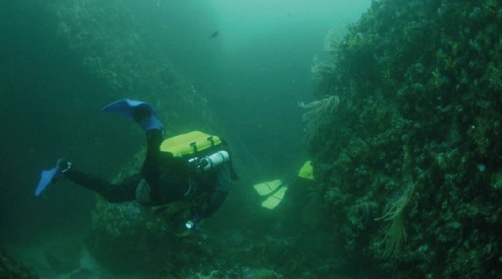 5 Night, 6 Day PADI Diving Course Package